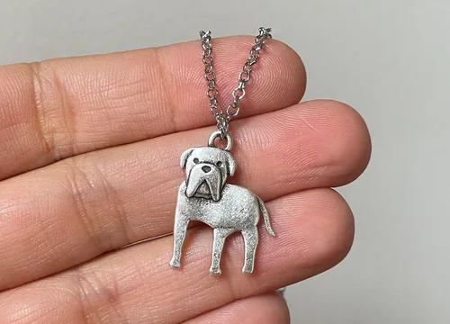 Miniatura 29 de Collar de raza de perro Grupo A