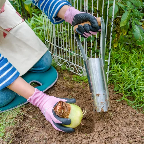 Miniatura 2 de Plantador de bulbos de jardín Berry&Bird con marca de profundidad de 15 cm, herramienta de trasplante de bulbos de jardín con mango de madera