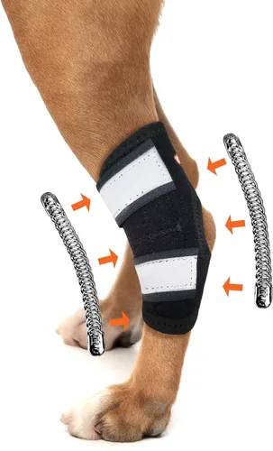 NeoAlly Soportes de perro de gran apoyo para patas traseras y articulación de corvejón con tiras de resorte de metal duales estabilizan las patas