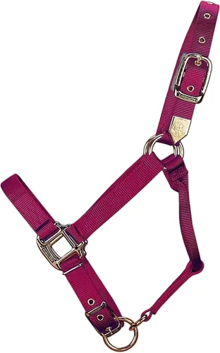 Miniatura 6 de Hamilton Caballo de lujo Halter, nailon de triple capa de 3/4 pulgadas con correa ajustable para la barbilla, potro o mini caballo, 100-200 libras