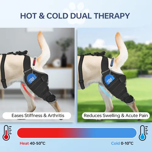 Miniatura 3 de Rodillera para perro para pierna trasera, ajustable, transpirable, con paquetes de gel caliente y frío, soporta perros grandes y medianos