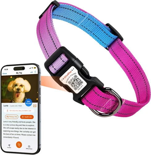 Miniatura 11 de Collar Reflectante para Perro, Collares Personalizados para Perro con Hebilla de Código QR, Collar de Nailon Suave para Mascotas Ajustable para Camo