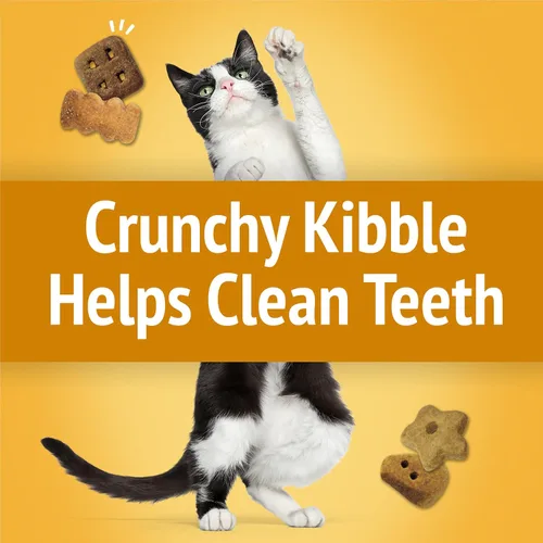 Miniatura 4 de Purina Friskies - Golosinas para gatos, mezcla para fiestas, Cheezy Craze Crunch, bolsa de 20 onzas