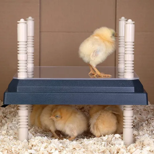 Miniatura 7 de Calentador de criador para pollitos: placa calefactora de pollos con placa de fácil limpieza, calentador de gallinero para aves de corral