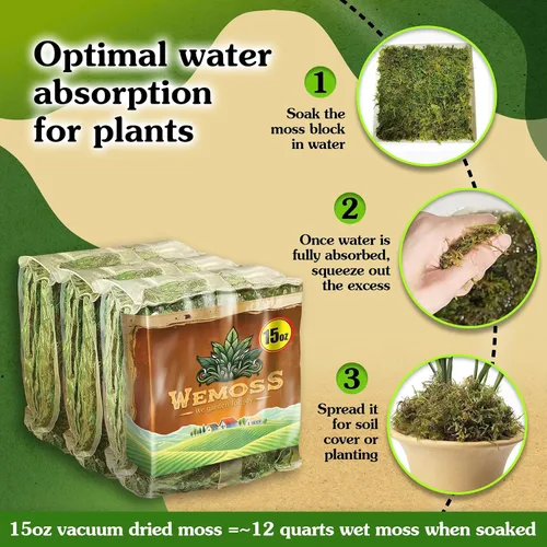 Miniatura 2 de Musgo natural para plantas de interior, musgo seco para plantas en maceta, musgo de orquídea para trasplantar, musgo de bosque para mezcla