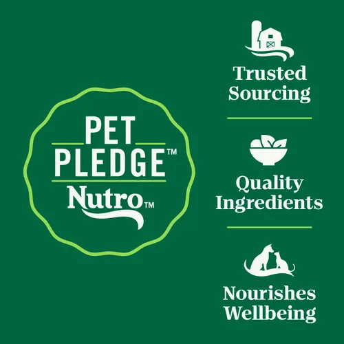Miniatura 9 de Nutro Wholesome Essentials Alimento seco para gatos mayores, comida para gatos mayores, receta de pollo seco y arroz integral, bolsa de 5 libras