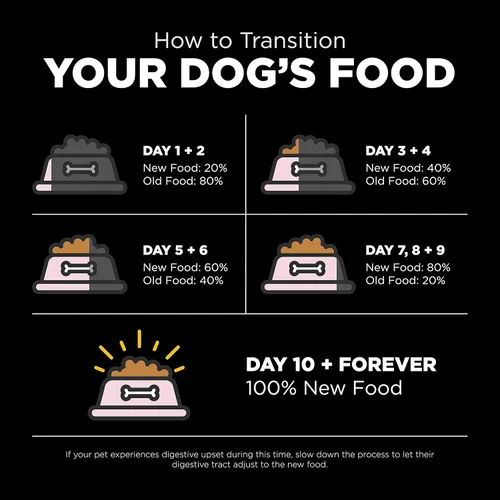 Miniatura 9 de Go! Solutions Sensitivities - Alimento seco para perros pequeños con ingredientes limitados, sin granos de salmón, croquetas pequeñas para razas