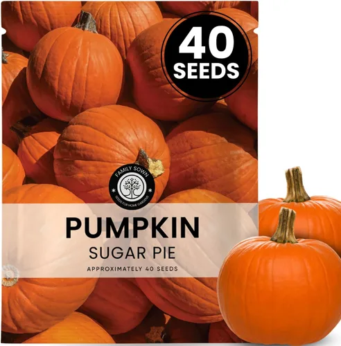 Miniatura 13 de Jack-O'-Lantern - Semillas de calabaza – 25 semillas premium para plantar – Talla clásica y cosecha de otoño variedad para la temporada 2026 – Bolsa