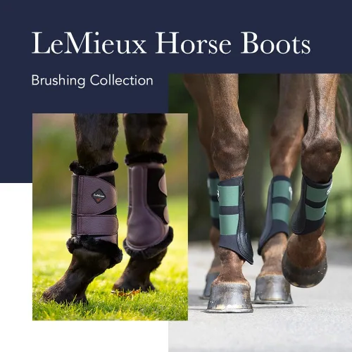 Miniatura 2 de LeMieux Grafter Brushing Horse Boots - Equipo de protección y equipo de entrenamiento - Botas equinas, envolturas y accesorios