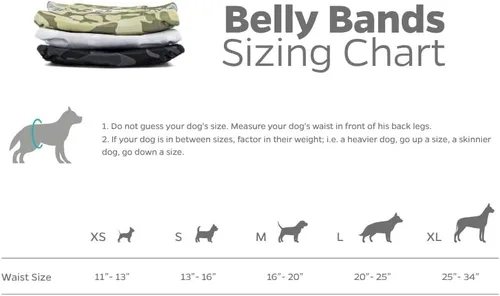 Miniatura 6 de Pet Parents® Bandas para el vientre lavables para perros machos (paquete de 3) + Extendrs® de pañales duraderos para perros machos, pañales