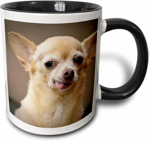 3dRose Taza de café, tamaño – 15 oz – Perro Chihuahua sin dientes, Santa Fe, Nuevo México – US32 JMR0502 – Julien McRoberts Dogs – divertido regalo