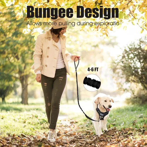 Miniatura 2 de BUMBIN Correa elástica de 6 pies con 2 asas para perros grandes, medianos y pequeños, resistente, sin tirones, absorción de golpes con cinturón