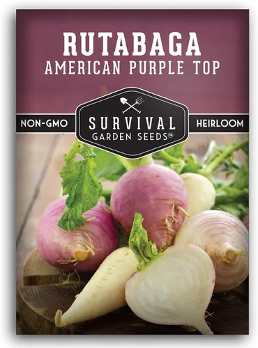 Survival Garden Seeds - 1 paquete de semillas de Rutabaga púrpura estadounidense para plantar con instrucciones para cultivar Brassica Napus en tu