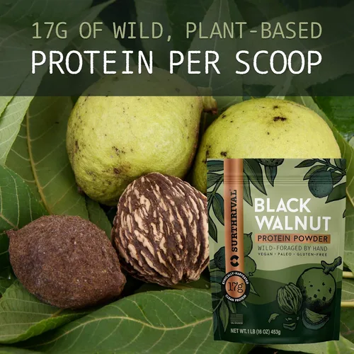 Miniatura 4 de Surthrival: Proteína en polvo de nogal negro, forrajada silvestre, cosechada éticamente, 0.76 onzas de proteína, de origen estadounidense, vegano