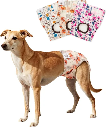 Miniatura 8 de CuteBone D36L - Pañales para perras, paquete de 3 unidades, tamaño L, D36L