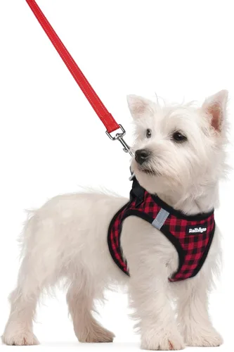 Miniatura 97 de rabbitgoo Juego de arnés para perro de tamaño pequeño y correa, chaleco ligero suave para cachorro, arnés de malla transpirable para mascotas