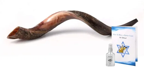 Auténtico shofar de cuerno kudu yemenita – Instrumento bíblico espiritual para adoración judía y cristiana, oración y festivales – Incluye spray