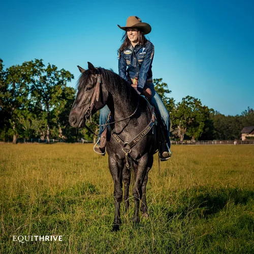 Miniatura 4 de Equithrive Suplemento clásico para articulaciones con glucosamina, condroitina, ácido hialurónico y MSM para caballos y caballos mayores, 10 libras