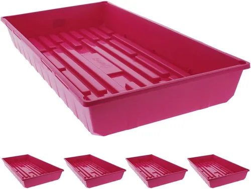 Miniatura 4 de Semillas Mega Heavy Duty Color 1020 para comenzar a cultivar microverdes, germinación hidropónica, semillas de pasto de trigo, forraje, paquete de 5