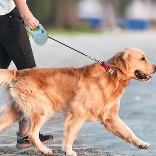 Miniatura 7 de Correa retráctil para perro de 16 pies, correa de nailon resistente con botón de bloqueo rápido para perros pequeños y medianos (azul)