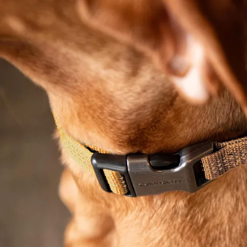 Miniatura 6 de Carhartt Collares de cincha de nylon totalmente ajustables para perros, costuras reflectantes para visibilidad, Grande Naranja cazador