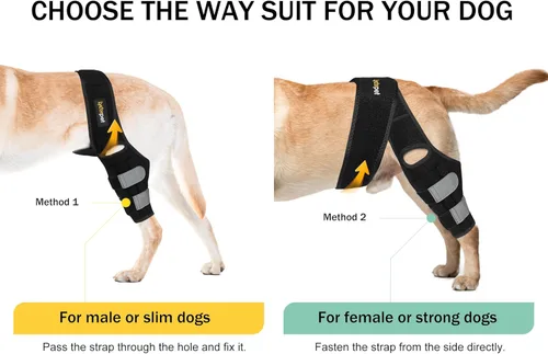 Miniatura 4 de Rodillera para perro para pierna trasera de ACL desgarrada, soporte de ACL para pierna trasera de perros, con estabilizadores laterales, fuerte