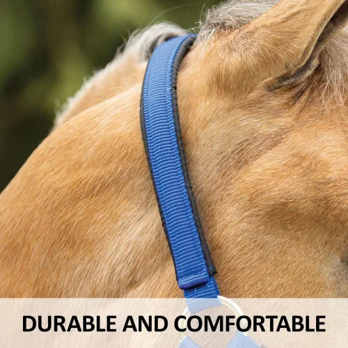 Miniatura 4 de Dura-Tech Cabestro de caballo totalmente acolchado de lujo Superposición de tela de nailon de doble capa de 1 pulgada Hardware resistente