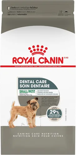 Royal Canin Canine Care Nutrition Small Dental Care Alimento seco para perros adultos, bolsa de 17 libras