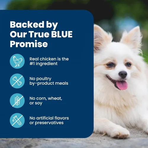 Miniatura 6 de Blue Buffalo Life Protection Formula - Alimento seco para perros mayores de raza pequeña, apoya la salud y la inmunidad de las articulaciones, hecho