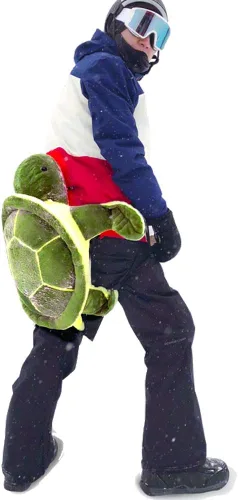 Miniatura 8 de Protective Gear for Skiing Skating Snowboarding Cute Turtle Tortoise Cushion Green