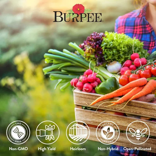 Miniatura 3 de Burpee Semillas de verduras Heirloom, paquete variado con 35 variedades de semillas de plantas, más de 30,000 semillas de jardín, semillas mixtas