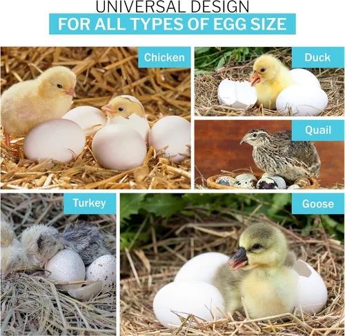 Miniatura 6 de IncuTurn™ Turner automático de huevos para incubadoras de huevos HovaBator (Solo volteador de huevos)