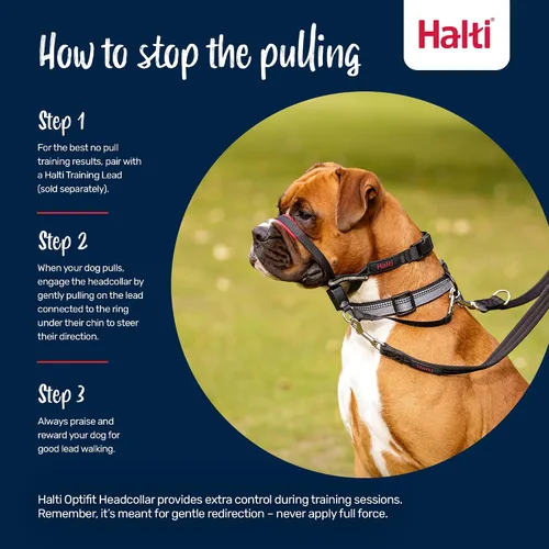 Miniatura 4 de Collar para perros con ajuste a la cabeza Halti Opti, mediano