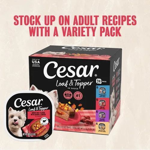 Miniatura 12 de Comida enlatada para perros adultos,sabor césar, Carne