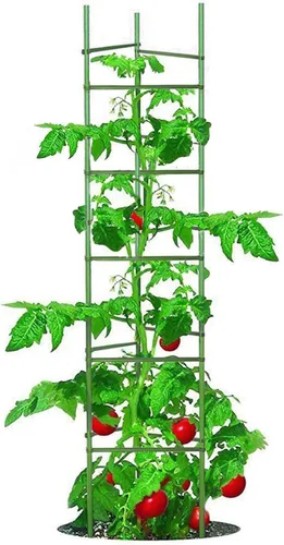 Miniatura 10 de Jaula de tomate de 5 pies de alto sin empalme, paquete de 6 estacas de tomate grandes, estacas para plantas de jardín, soportes de escalada, 40