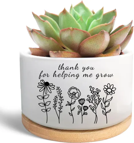 Miniatura 9 de Regalos para Amigas, Desearía Que Vivieras al Lado, Linda Maceta de Suculenta, Maceta de Flores, Regalos de Amistad para Relación a Larga Distancia