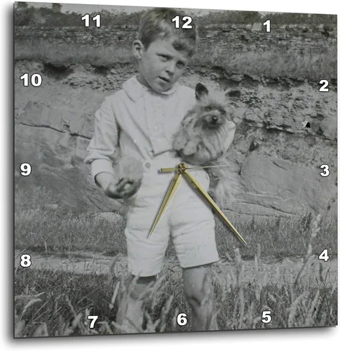 Miniatura 52 de 3dRose Reloj de pared silencioso - 10 pulgadas - 2da enmienda Protéjase en un doble círculo con pistola Clipart - Ciudad de sello - Tipografía
