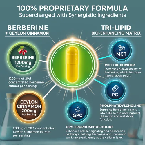 Miniatura 3 de aSquared Nutrition Suplemento de Berberina con Canela de Ceilán - Complejo de Máxima Potencia de 1400mg - 120 Cápsulas - Extracto en Polvo HCl