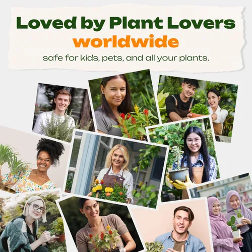Miniatura 5 de RichFarm Booster, polvo orgánico para la condición del suelo, estimulador de raíces para plantas de interior, funciona con cualquier fertilizante