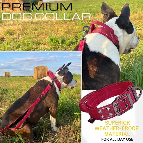 Miniatura 6 de ADITYNA Collar de perro resistente para perros grandes, collar reflectante burdeos con asa para entrenar y caminar, ancho, grueso, táctico, Borgoña