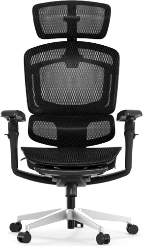 Miniatura 11 de FLEXISPOT Silla ergonómica de oficina ErgoX-PRO con reposapiés negro – Asiento de malla AeroWeave 5.0, lumbar 5D, reposabrazos 7D, reposacabezas 4D