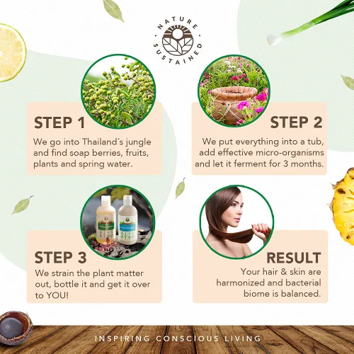 Miniatura 4 de Nature Sustained Champú y acondicionador para piel pura y sensible, fórmula vegetal probiótica cruda (pH equilibrado) para piel sensible y cabello