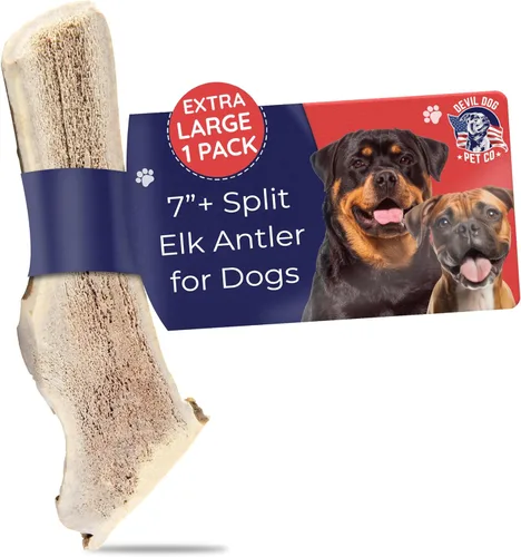 Miniatura 21 de Devil Dog Pet Co. Cornamentas de alce para perros, extra grandes 17,8 cm+, 1 paquete, grado A, masticable duradero para masticadores agresivos, asta