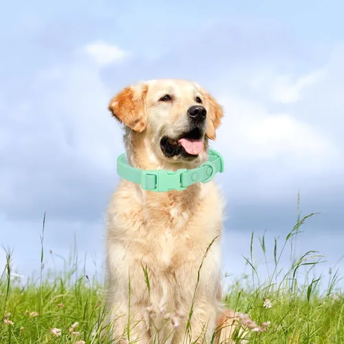 Miniatura 2 de Collar de perro impermeable de goma suave con hebilla de seguridad, collares ajustables para mascotas para perros pequeños, medianos y grandes Verde