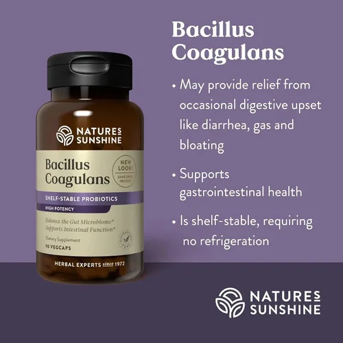 Miniatura 2 de Nature's Sunshine Bacillus Coagulans, NutriBiome - 90 Vegicaps
