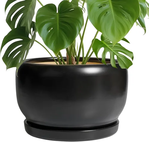 Miniatura 7 de SQOWL Macetas de cerámica – Maceta de 6 pulgadas con orificio de drenaje y bandeja, maceta redonda para plantas de interior, maceta decorativa