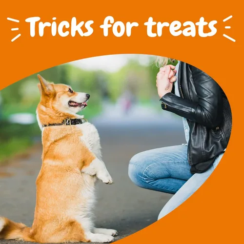 Miniatura 8 de Zesty Paws Golosinas de entrenamiento para perros y cachorros, golosinas para entrenamiento para perros, masticables saludables para la salud