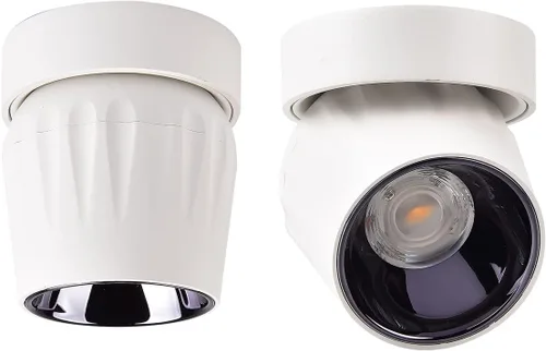 Foco de techo LED de 12 W, luz direccional de rotación de 360°, 6000 K, blanco frío/lámpara de pared para pasillo, galería, sala de estar/blanco,