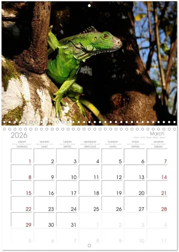 Miniatura 7 de REPTILES (calendario mensual de pared 2022 11.7 x 16.3 in (abierto)