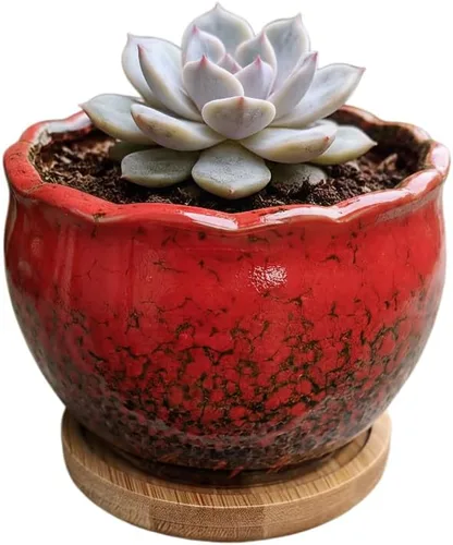 Miniatura 38 de Bonita maceta circular de cerámica para decoración del hogar y jardín, suculentas, cactus, maceta no incluida (azul, 3.19 pulgadas)